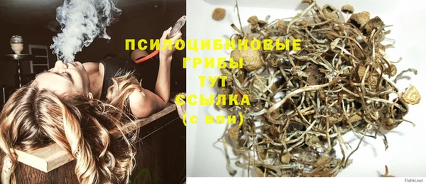 ALPHA PVP Армянск