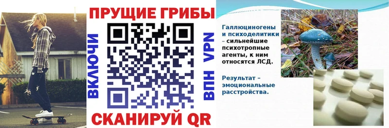Псилоцибиновые грибы мицелий Ногинск